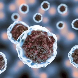 Monoclonal Antibodies And Immune Response