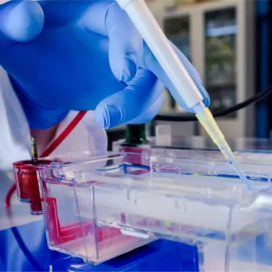 Pipettes And Liquid Handling