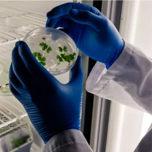 Microbial Testing