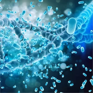Spoilage Organisms Detection