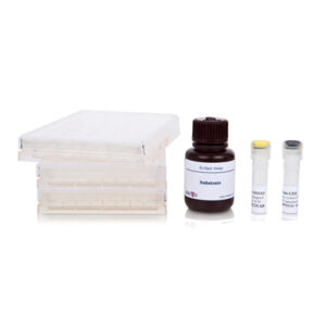 ELISpot Pro: Human IFN-? (HRP) 2 plate