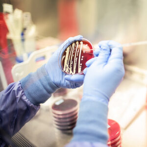 AccuPRO-ID - bacteria